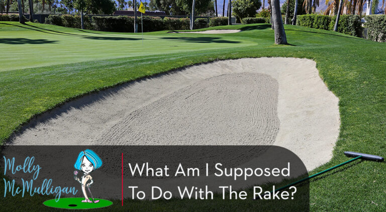 What am I supposed to do with the rake?